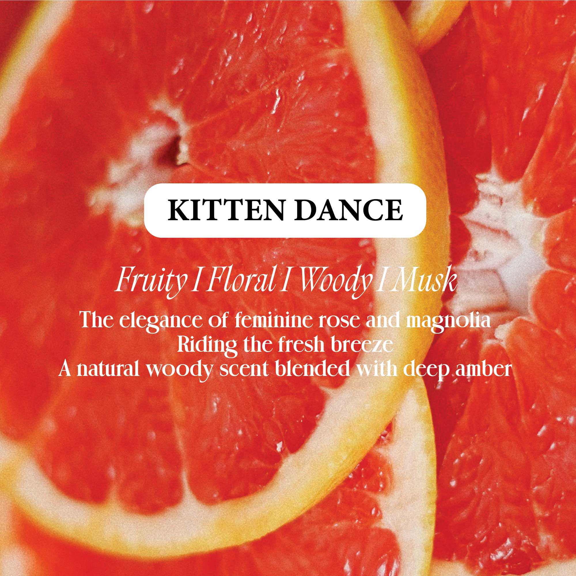 Optatum Paper Incense Kitten Dance, Perfect for Your Cat (60 Counts)